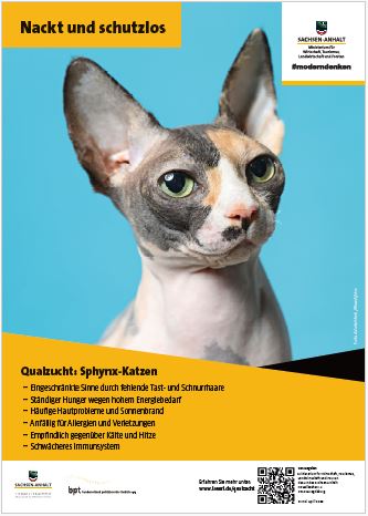 Abbildung eines Posters mit einer Katze ohne Fell. Überschrift: Nackt und schutzlos.