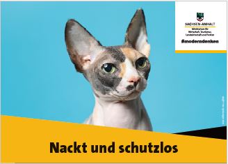 Abbildung eines Posters mit einer Katze ohne Fell. Unterschrift: Nackt und schutzlos.