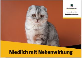 Abbildung eines Posters mit einer Katze, die nach vorn geknickte Ohren hat. Bildunterschrift: Niedlich mit Nebenwirkungen. 