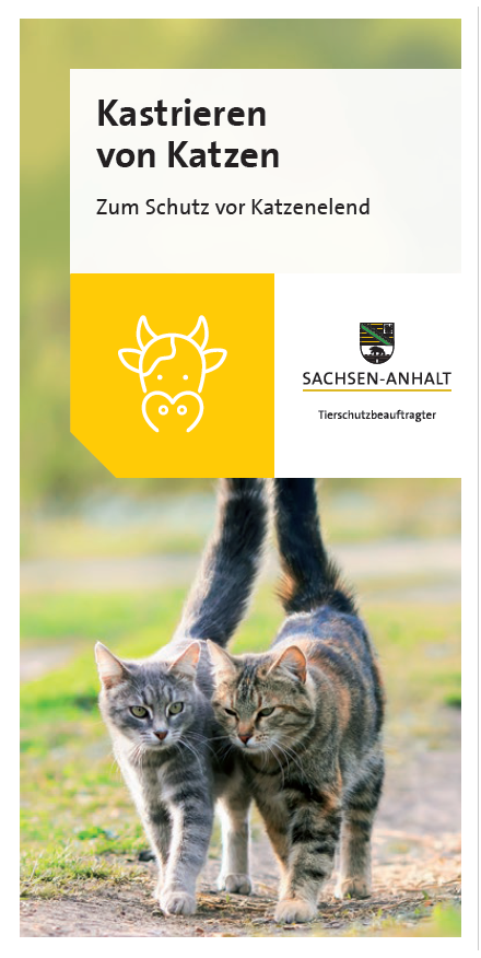 Deckblatt des Flyers "Kastrieren von Katzen"