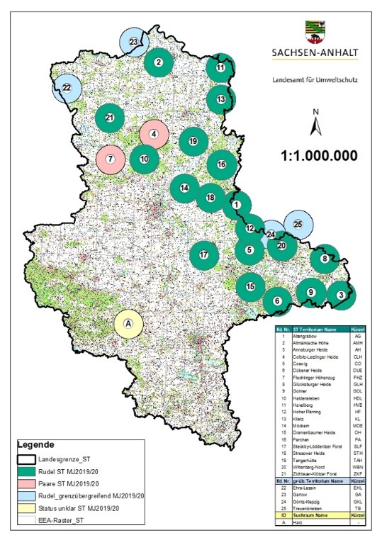 Karte zur Ansiedlung des Wolfs in Sachsen-Anhalt (Stand : MJ 2019/2020))