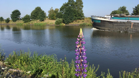 Fluss mi Schiff