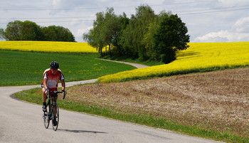 Radfahrer auf einem ländlichen Weg, im Hintergrund sind Bäume, Wiesen und blühende Rapsfelder zu sehen