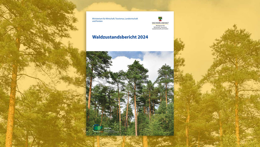 news_waldzustand_2024