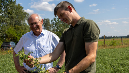 Zwei Männer stehen in einem Feld. Der Landwirt hält eine Kichererbsen-Pflanze in der Hand.