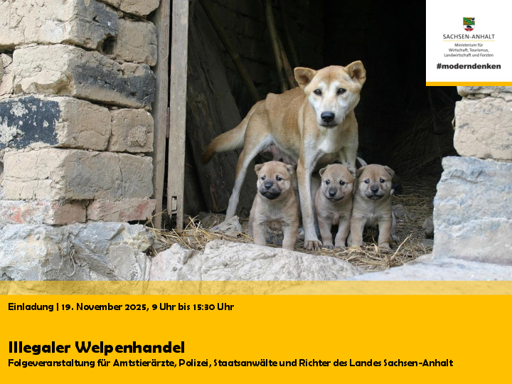 Deckblatt des Einladungsflyers